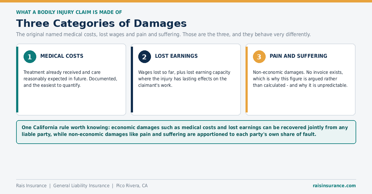 Three Categories of Damages Three categories of damages in a bodily injury claim - medical costs, lost earnings, pain and suffering