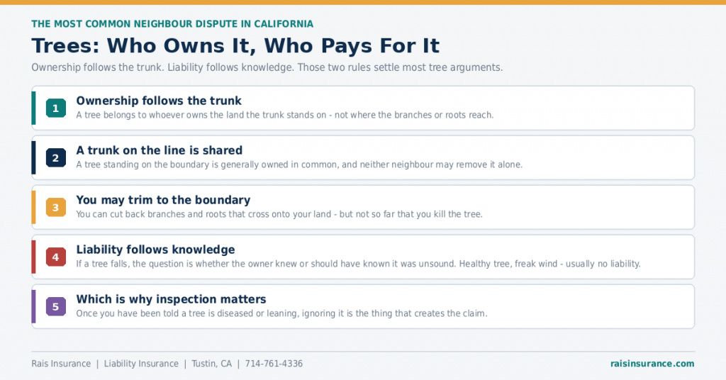 03-trees-who-owns-it-who-pays-for-it