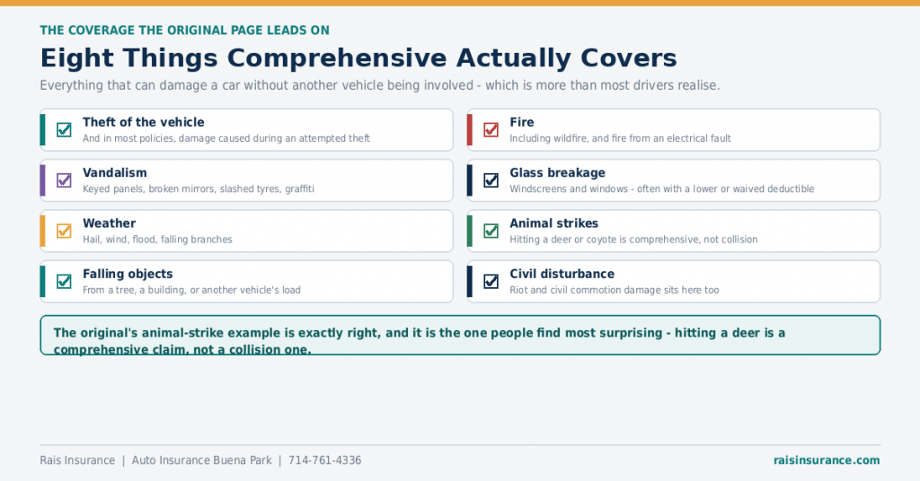 what-comprehensive-coverage-actually-covers