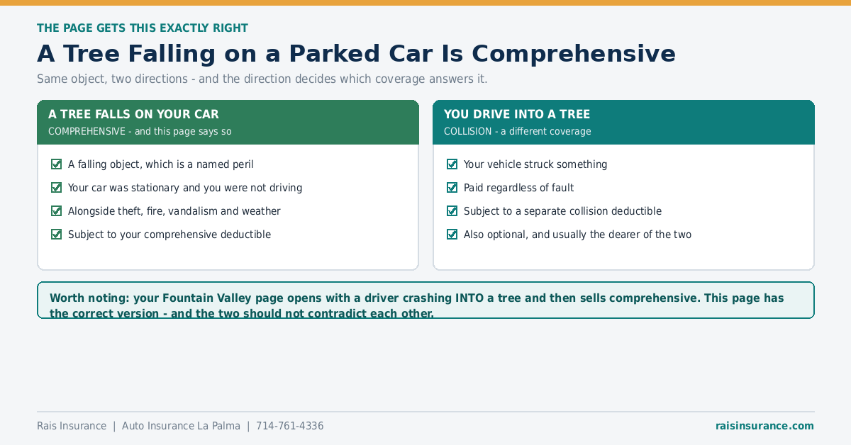 A Tree Falling on a Parked Car Is Comprehensive A tree falling on a parked car is a comprehensive claim, not collision