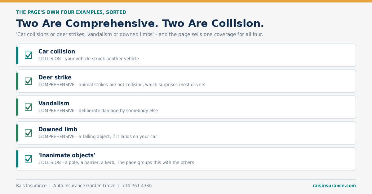 Two Are Comprehensive. Two Are Collision. Four road hazard examples sorted into comprehensive and collision coverage