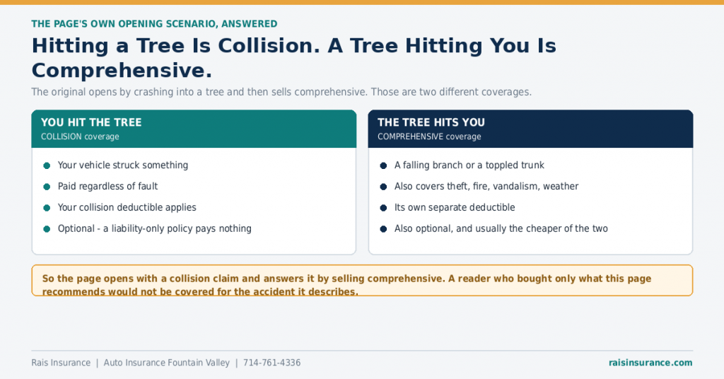 hitting-a-tree-is-collision-not-comprehensive