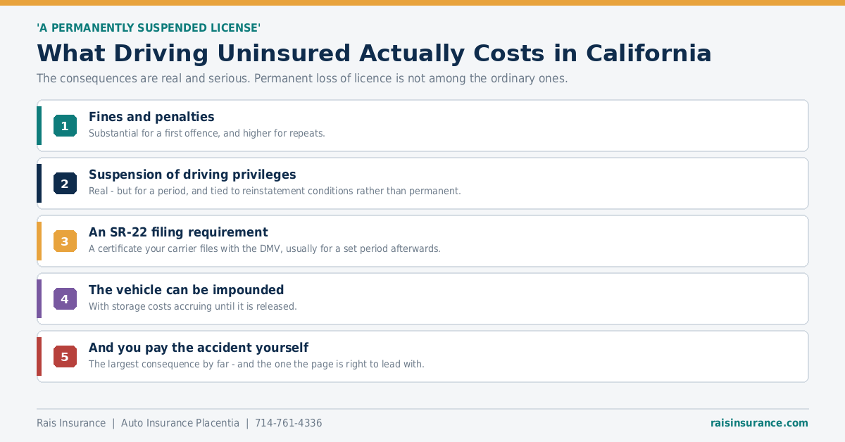 Three That Point Back at You Three auto insurance coverages that protect the policyholder directly